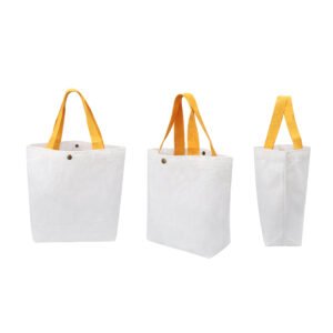 Small Canvas Tote Bag With Colorful Handle & Snap Closure