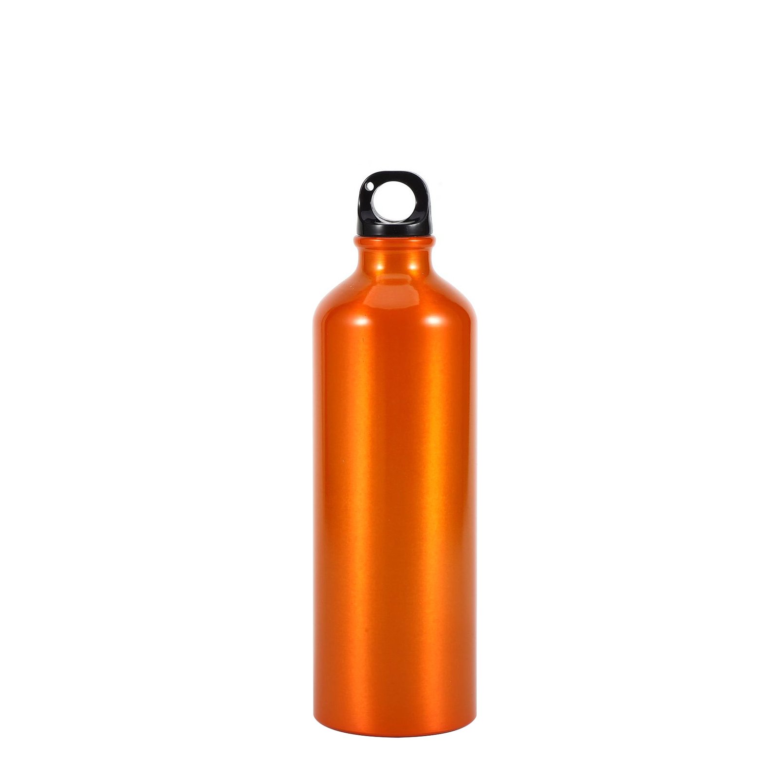 Aluminum bottle with carabiner