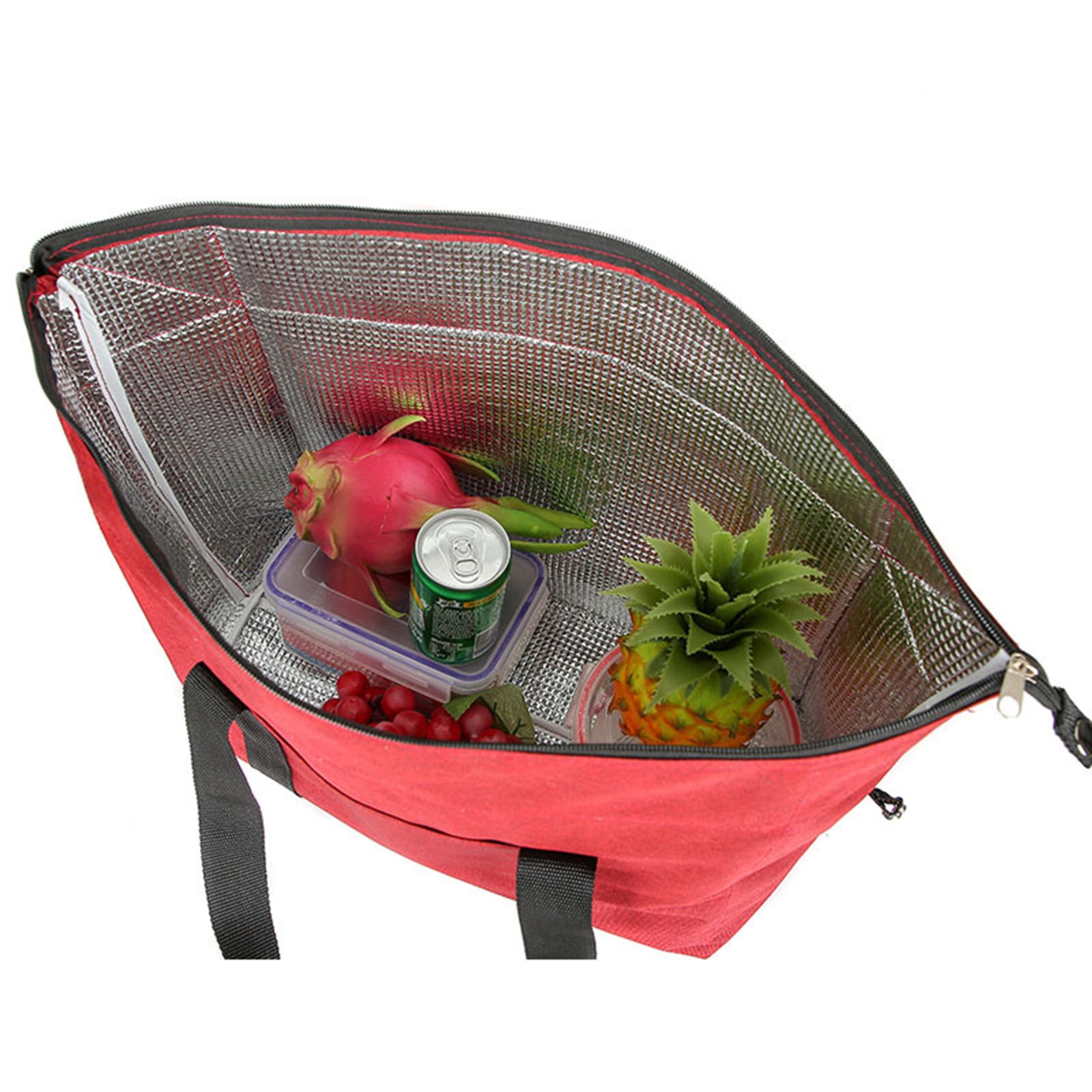 Large Insulated Picnic Tote Bag