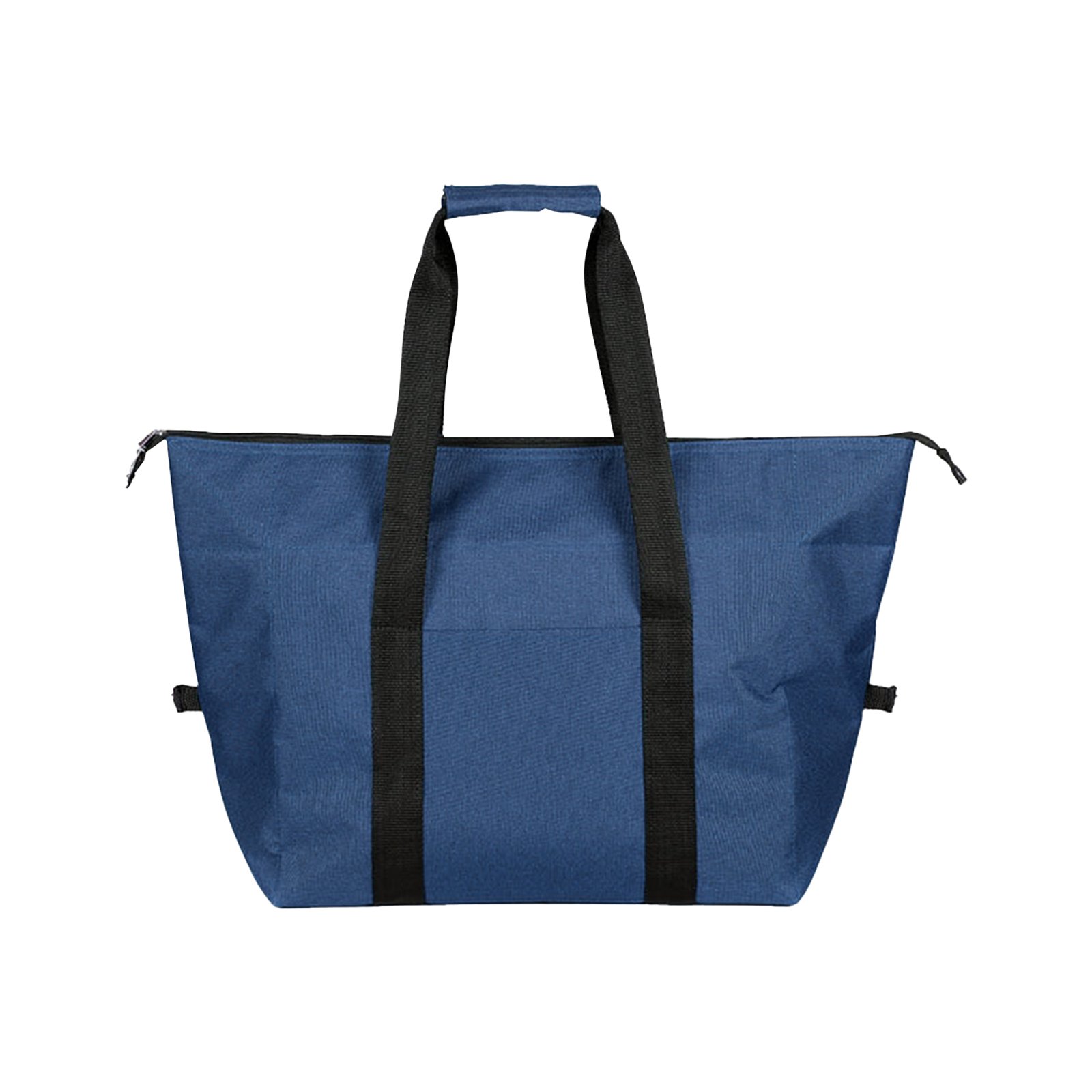 Large Insulated Picnic Tote Bag