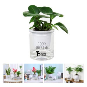 Lazy Self-watering Flowerpot