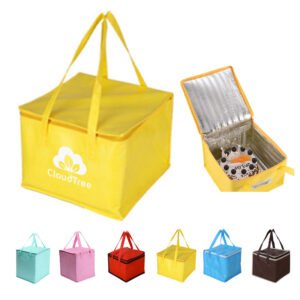 Reusable Frozen Shopping Bag