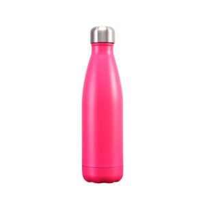 17oz Stainless Steel Insulated Bottle