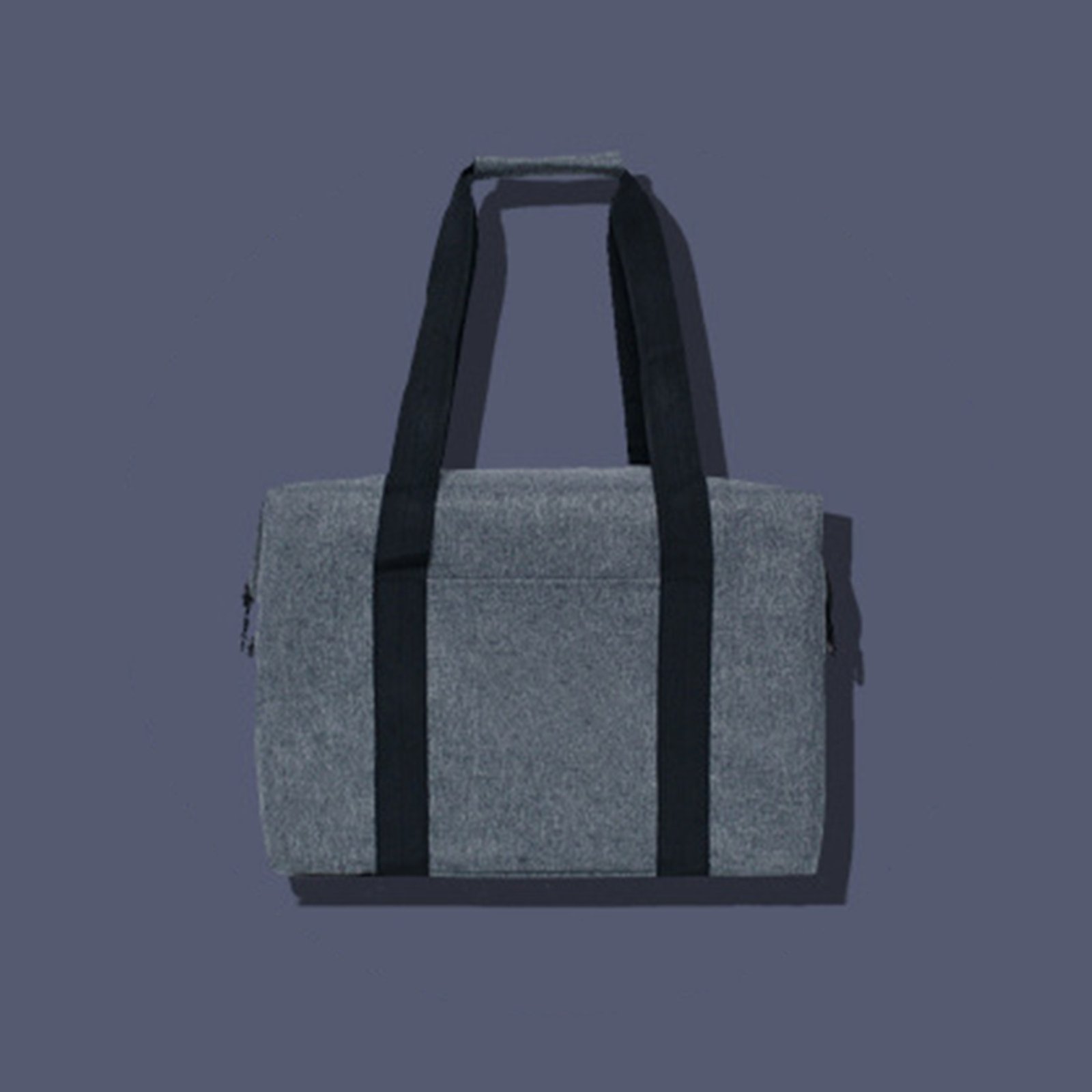 Large Insulated Picnic Tote Bag