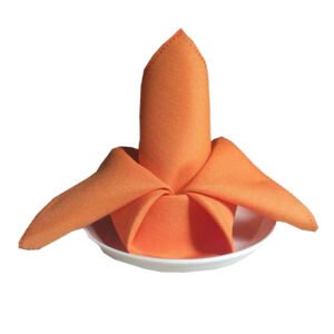 Dinner Napkins